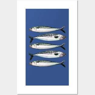Mackerel - Watercolor fish illustration Posters and Art